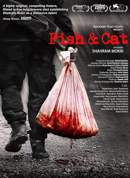 گربه و ماهی | Fish & Cat