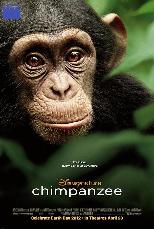 شامپانزه | Chimpanzee