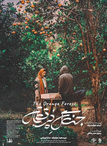 جنگل پرتقال | The Orange Forest