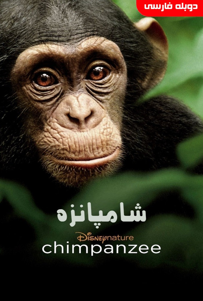 مستند شامپانزه