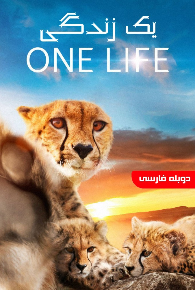 مستند یک زندگی